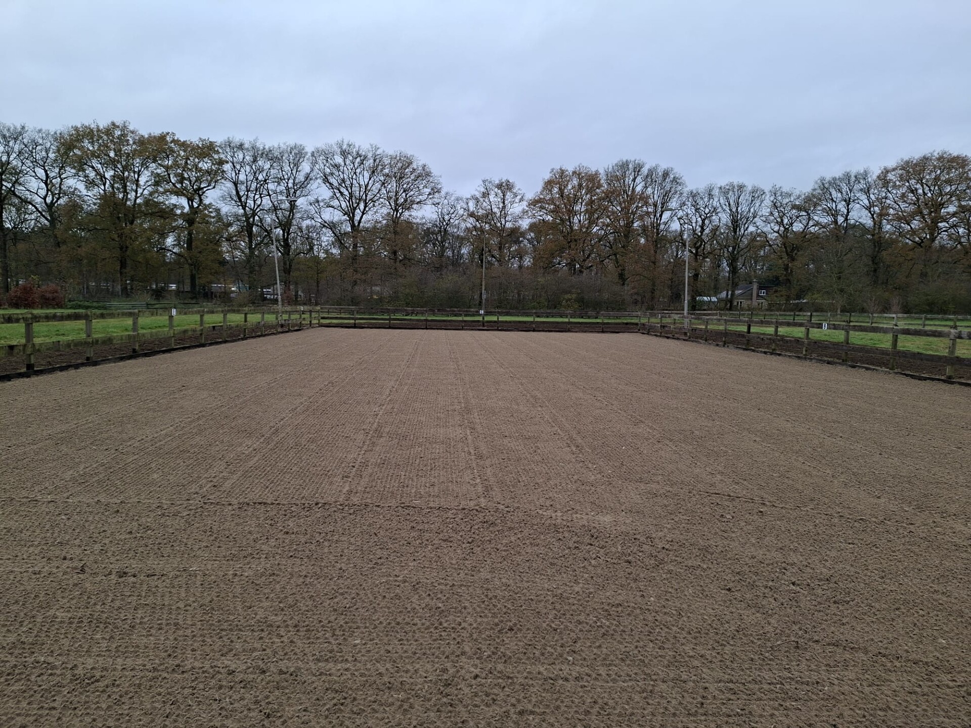 Paardenbak feb26 10